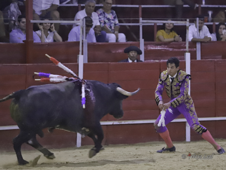 Quiebro chihuahuense