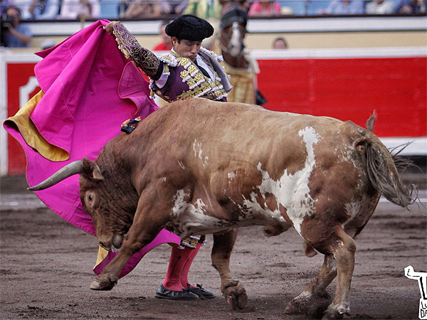 Homenaje a El Calesero