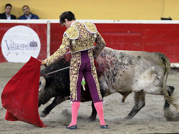 Acompa�ando la embestida