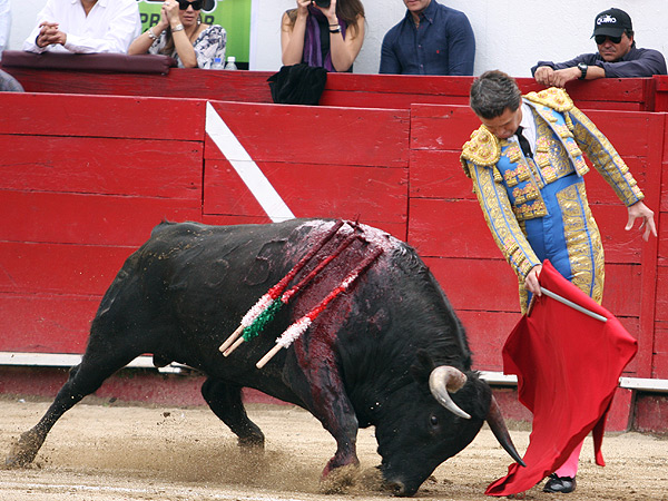 El comienzo de la faena