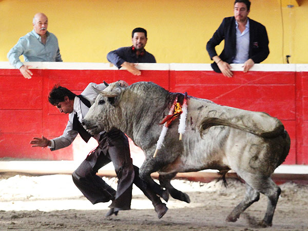 El toro le arroll�