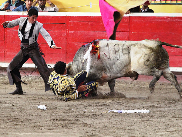 Quite de compa�eros