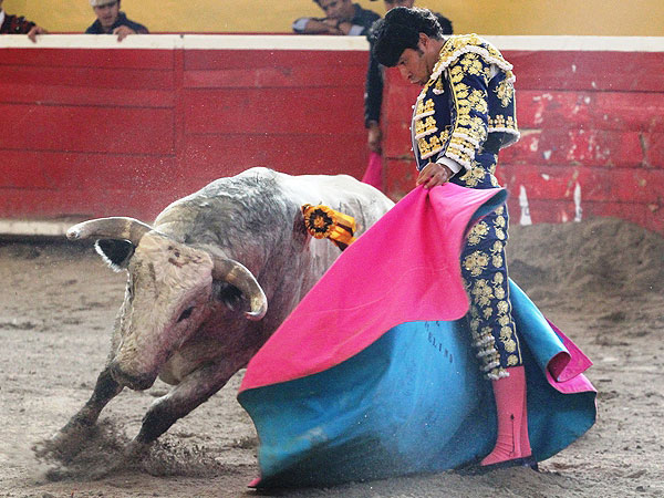 La cadencia de Angelino