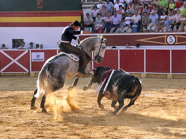 Adornos en los medios