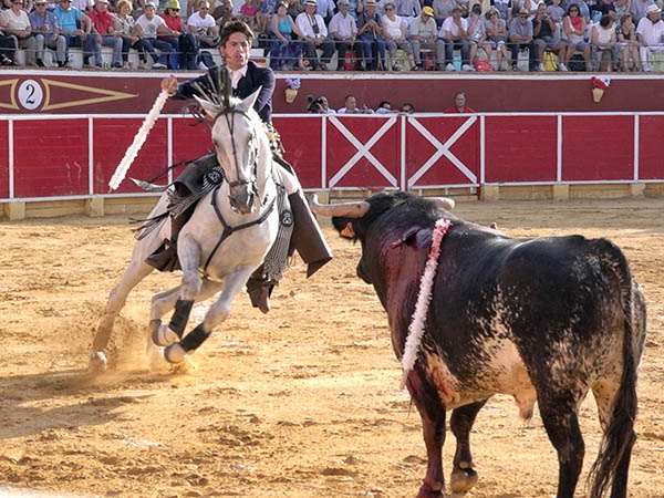 Dando el medio pecho