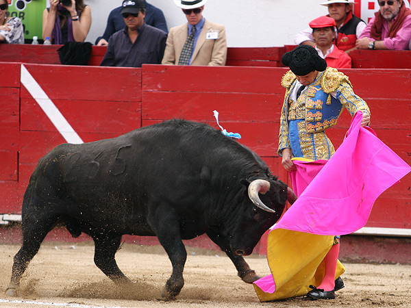 Excelente ver�nica de Alb�n