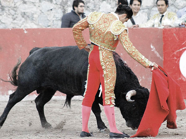 Muleta de terciopelo