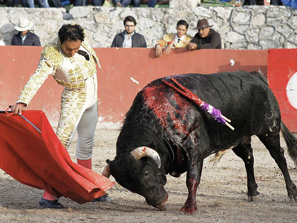 La nobleza del negro