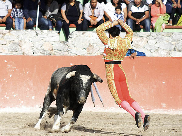Lucido en banderillas