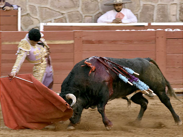 A un paso del doctorado