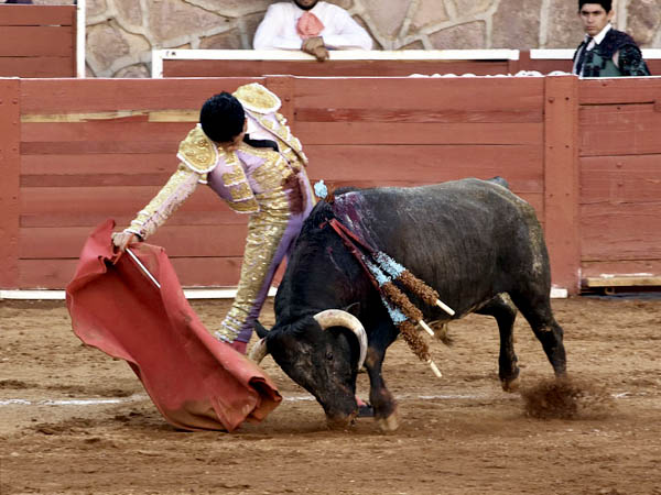 Se mostr� solvente