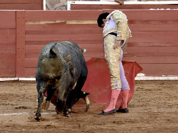 Embestida con nobleza