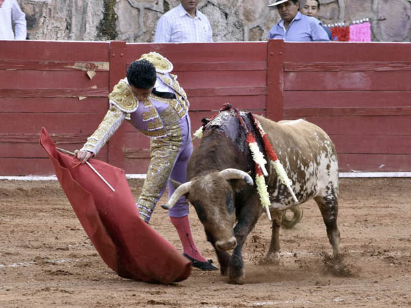 Cabeceo del ejemplar