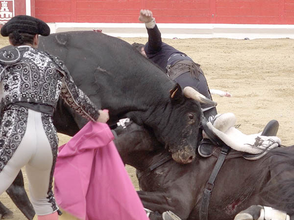 El pit�n en la montura