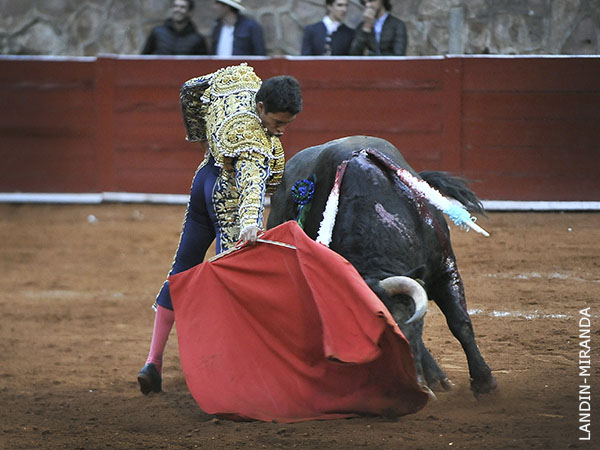 Entrega de torero