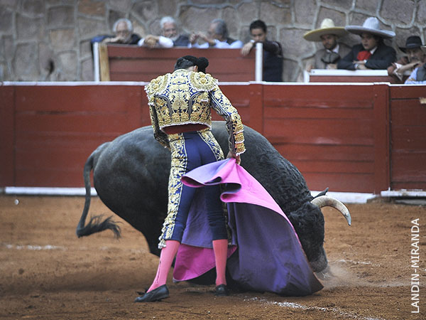 Due�o de un toreo cl�sico