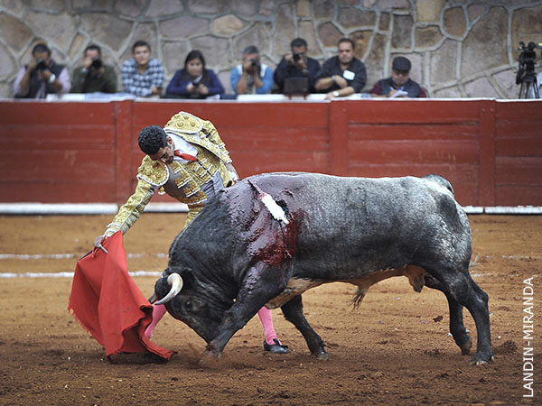 Acompa�ando con la voz