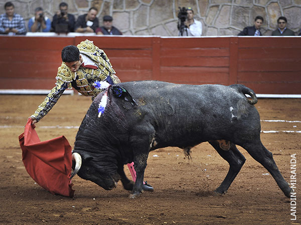 Ejemplar con transmisi�n