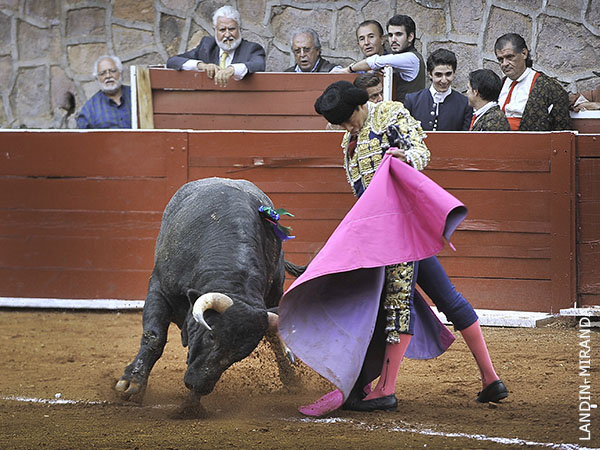 Lucido en las ver�nicas