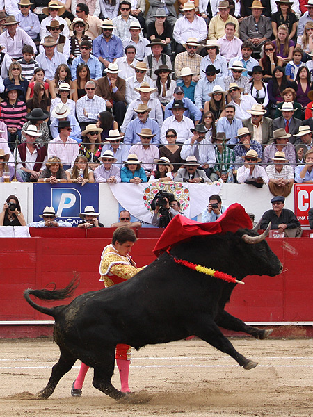 El de pecho, muy largo