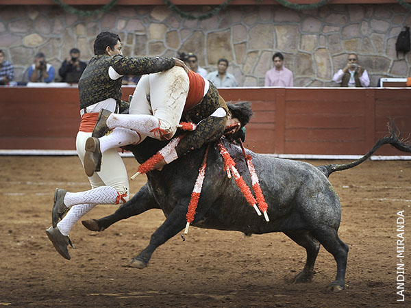 La pega de los mazatlecos