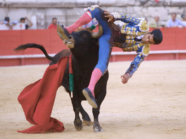 Dos trayectorias en el muslo
