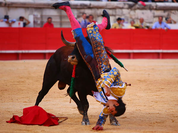 Impresionante voltereta