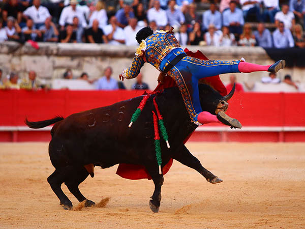 El ejemplar tir� el viaje y acert�