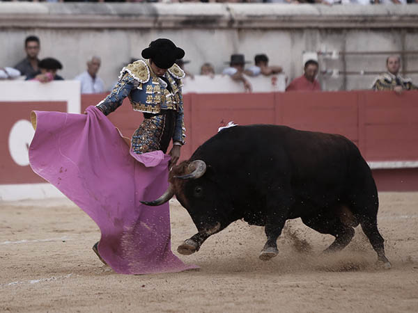 Toreando a la ver�nica