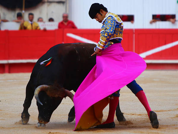 Buena fortuna con su primero