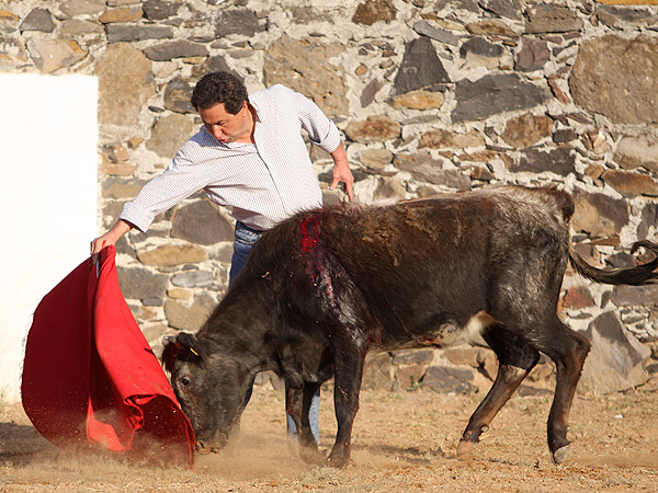 Temple y sentimiento