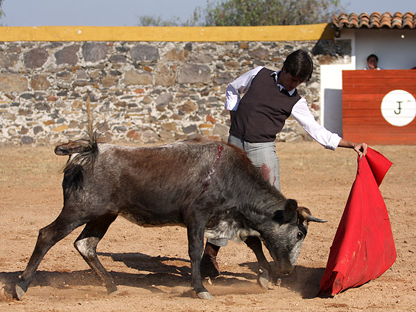 Calidad en la embestida