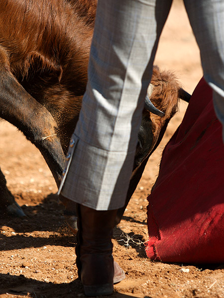 Una embestida humillada