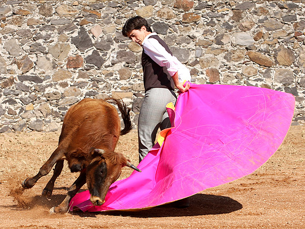 Dej�ndola al caballo