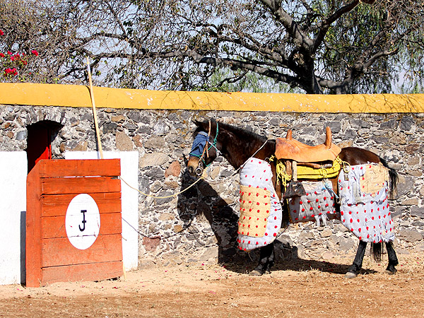 Placita de Campo Real
