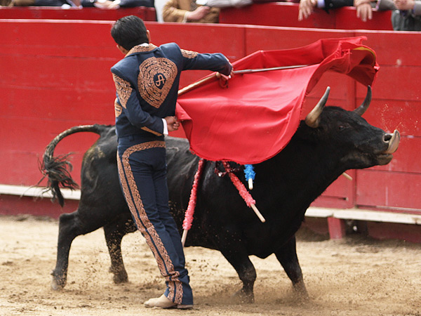 Manoletina en tablas