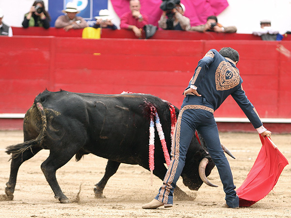 Alargando la embestida