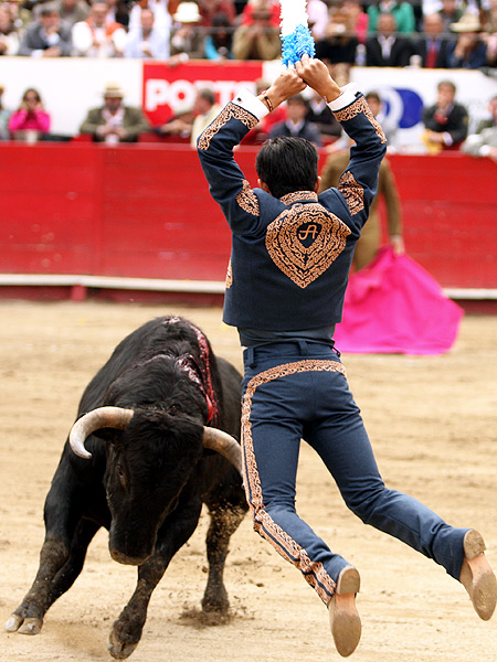 Elev�ndose en banderillas