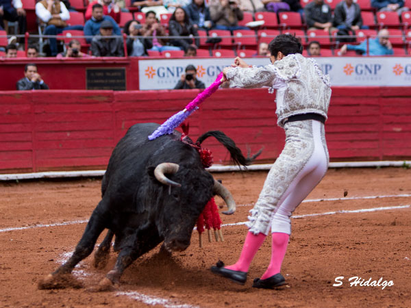Ovacionado en banderillas