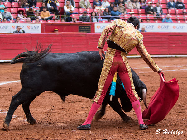 Magn�fico concepto del hidroc�lido