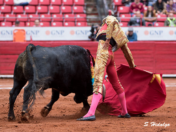 Metido en la muleta