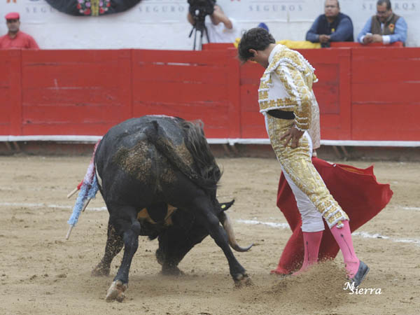 Calibrando al ejemplar