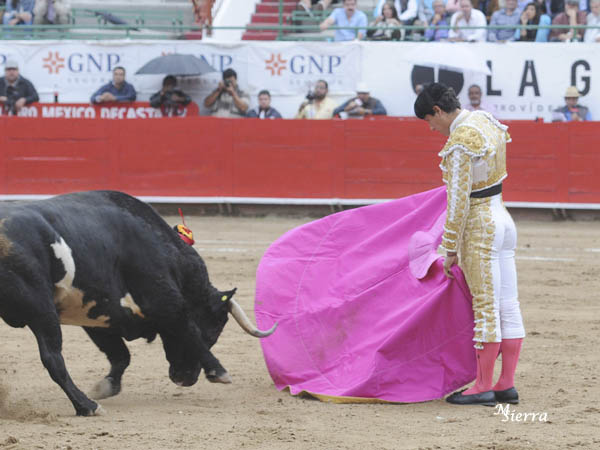 Los vuelos del percal