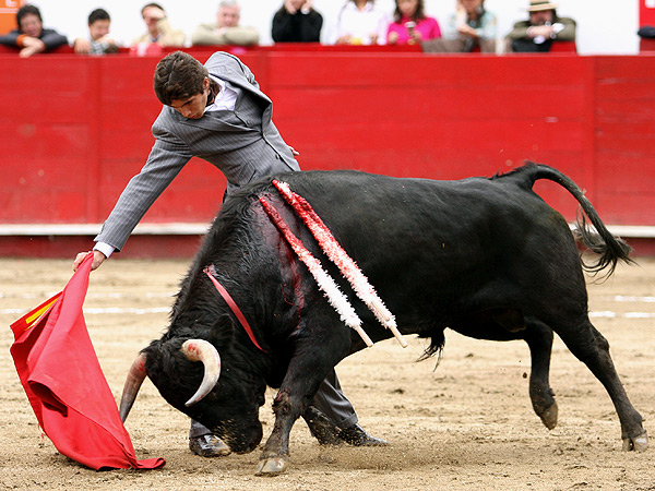 Temple y largueza en el trazo