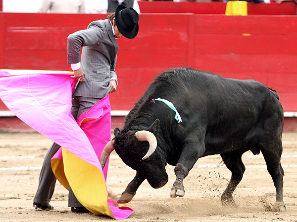 La media ver�nica de Castella