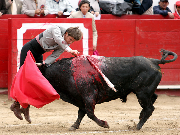La contundencia de una espada