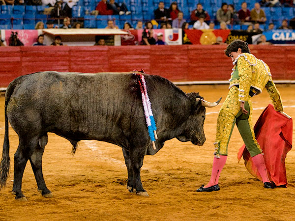 En los terrenos del toro