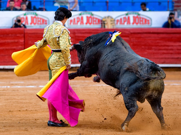 Aguantando la embestida