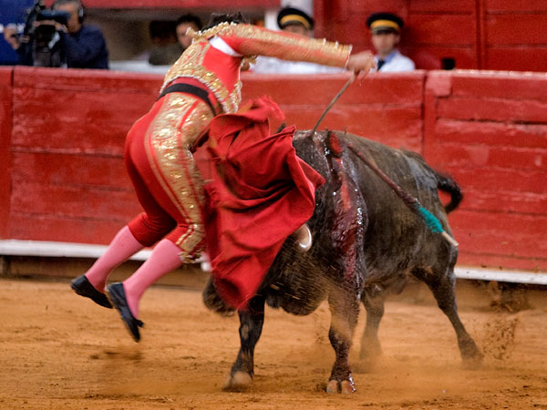 Momento de la cornada