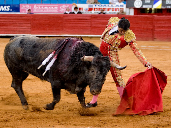 Sal�a con la cabeza arriba